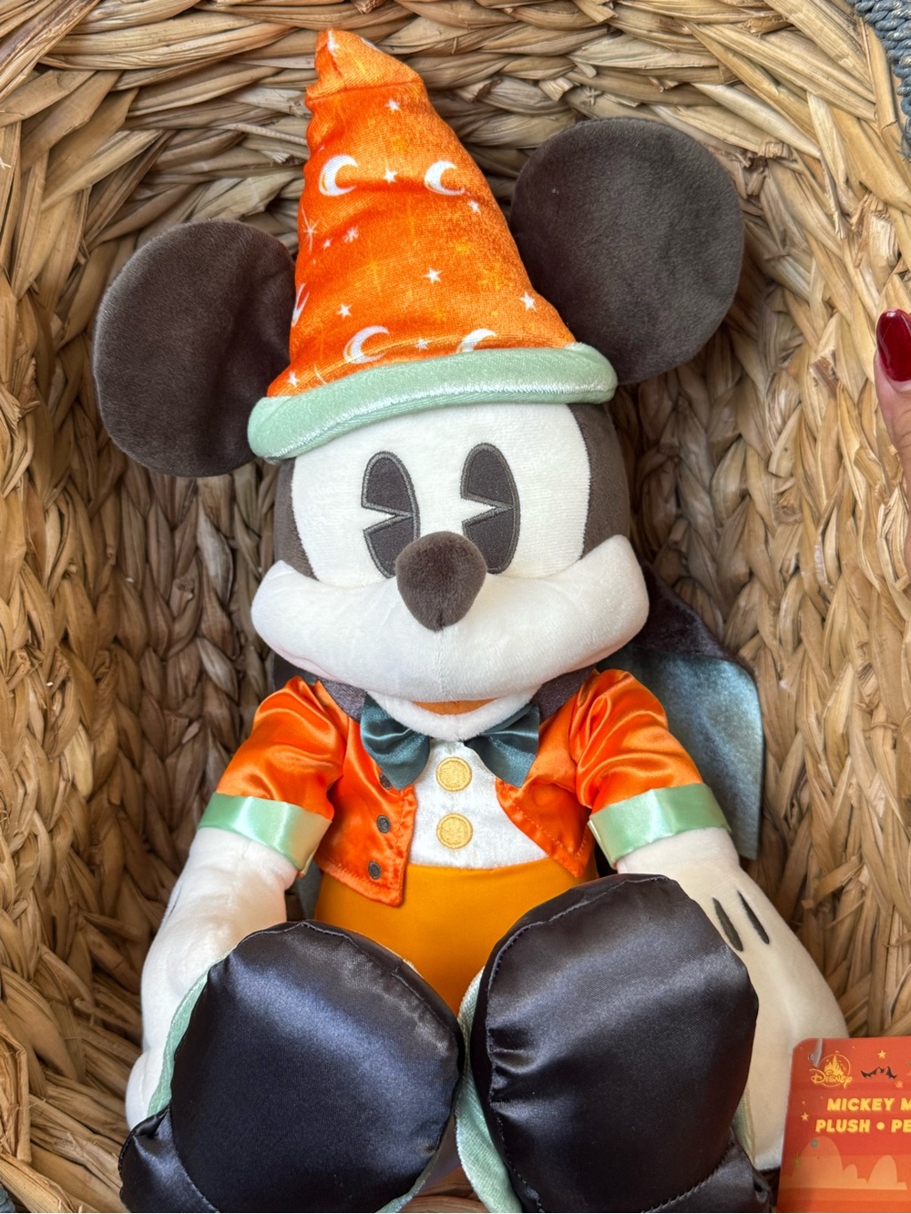 Mickey Mouse Halloween Plush New with Tags Disney Parks